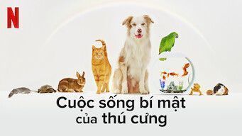 Cuộc Sống Bí Mật Của Thú Cưng